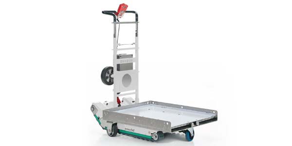 Zonzini Domino People Stabilized